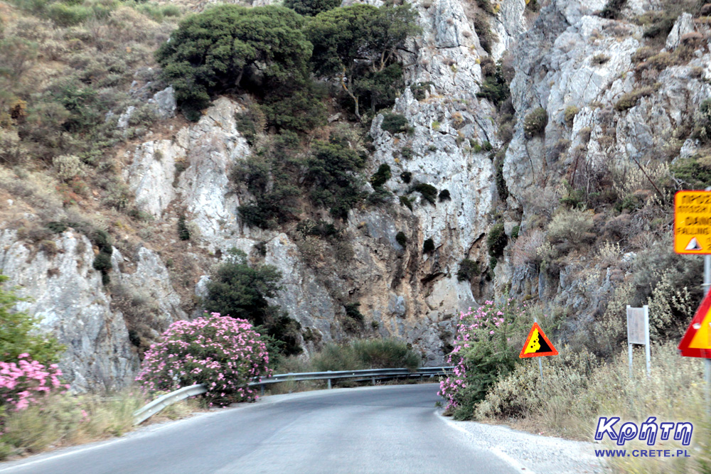 Road in the Kourtaliotiko gorge