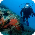 Oceanis Dive Center - diving in Crete