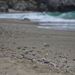 Stosunkowo dobry piasek to jeden z atutów tej plaży