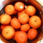 Mandarinenmarmelade