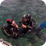 Oceanis Dive Center - nurkowanie na Krecie