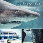 Cretaquarium