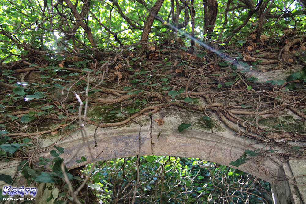 Mili-Dorf von Vegetation verzehrt