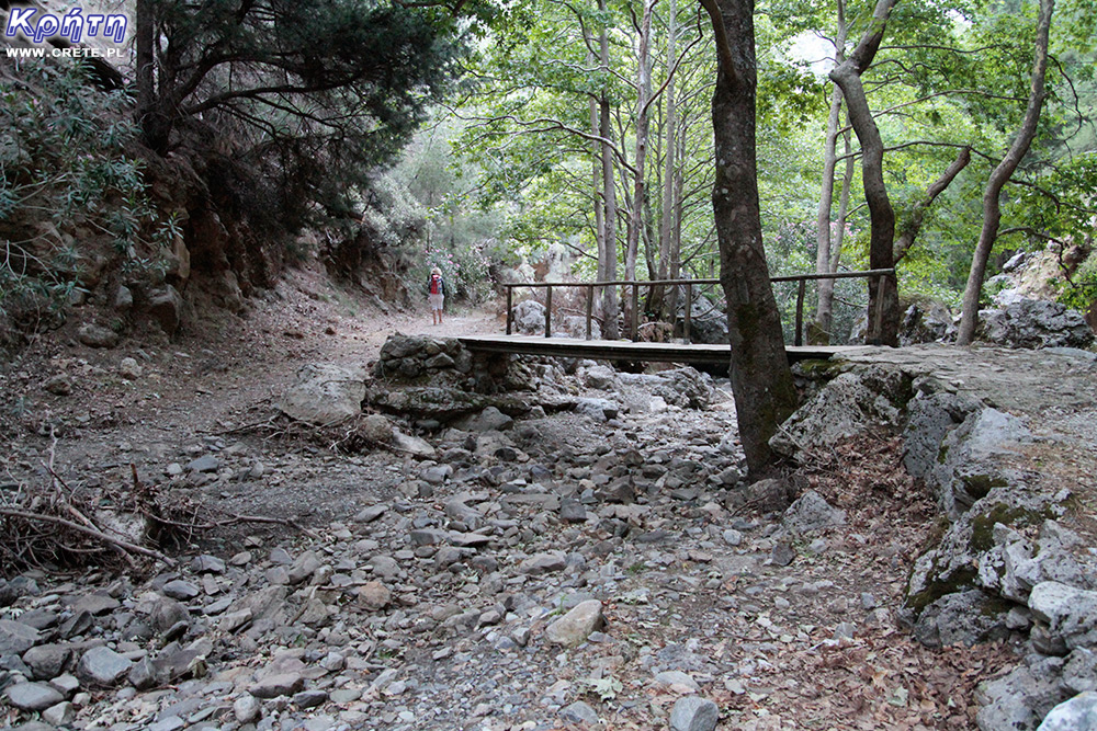 Agia Irini - A dry stream