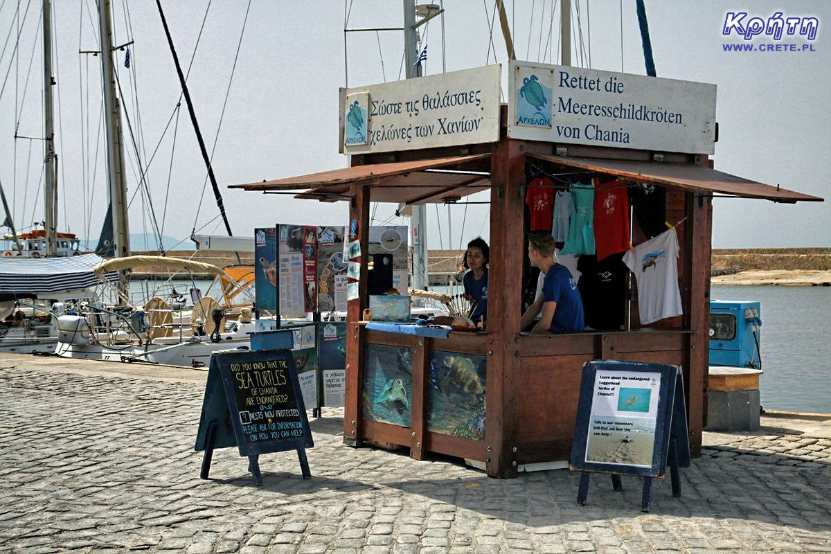 Archelon auf Kreta