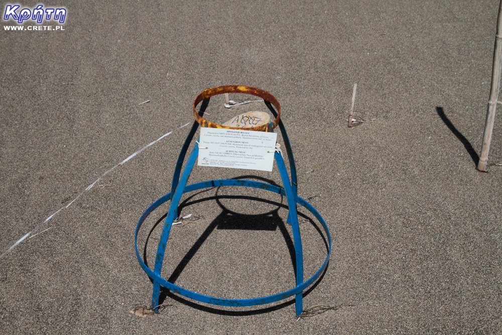 A metal cage for a turtle nest