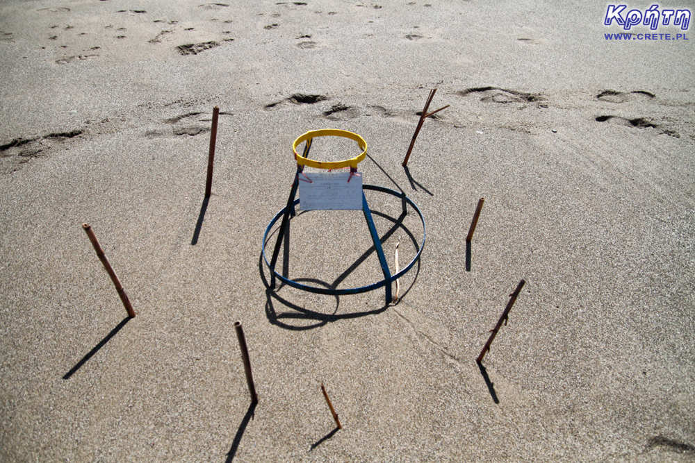 Designation of the turtle nest on the Kalamaki beach in Crete