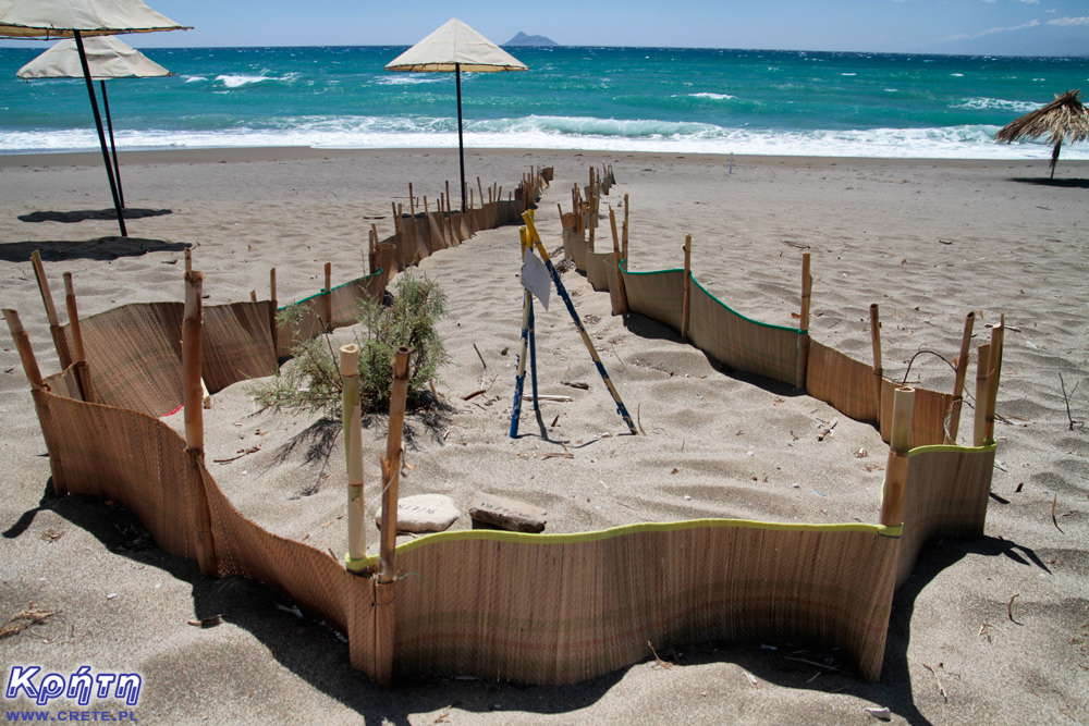 Fence around the turtle's nest