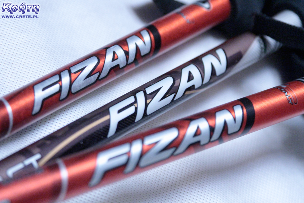 Fizan compact - trekking poles