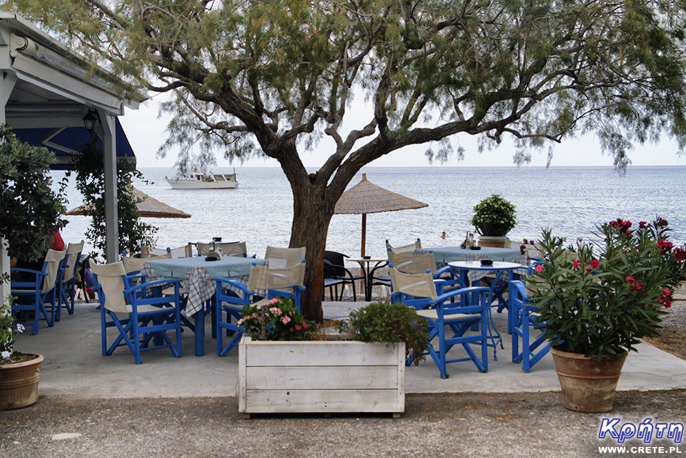 Taverns at Kato Zakros