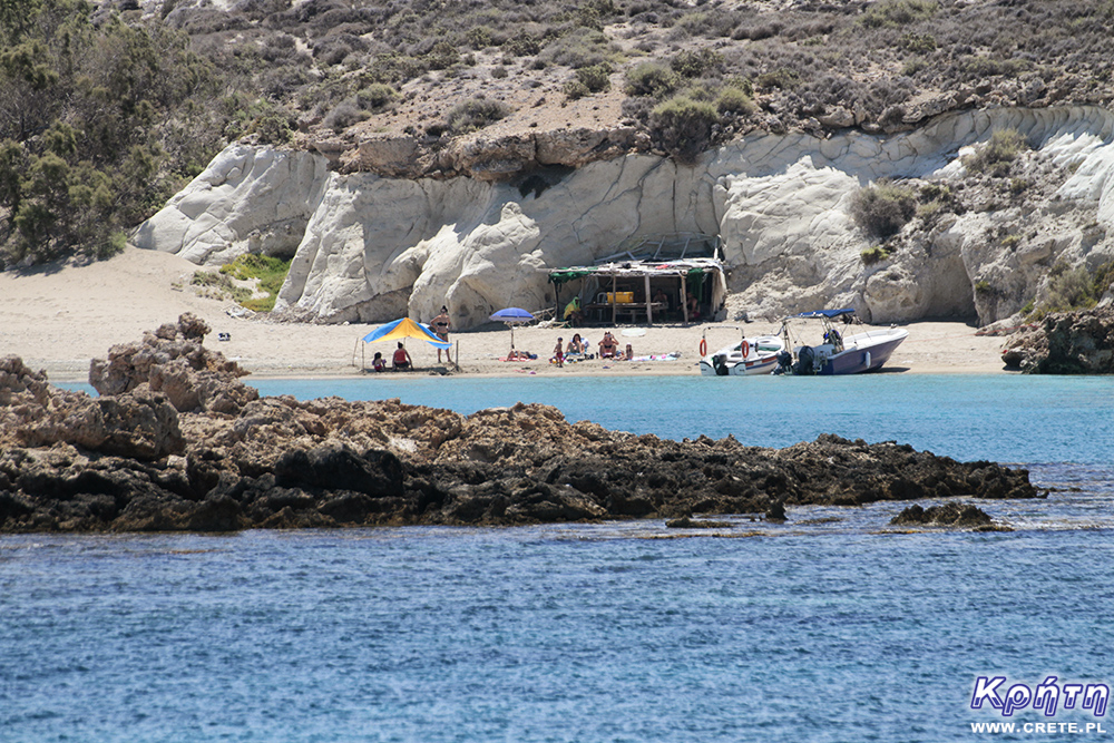 Koufonissi - wilde Mieter