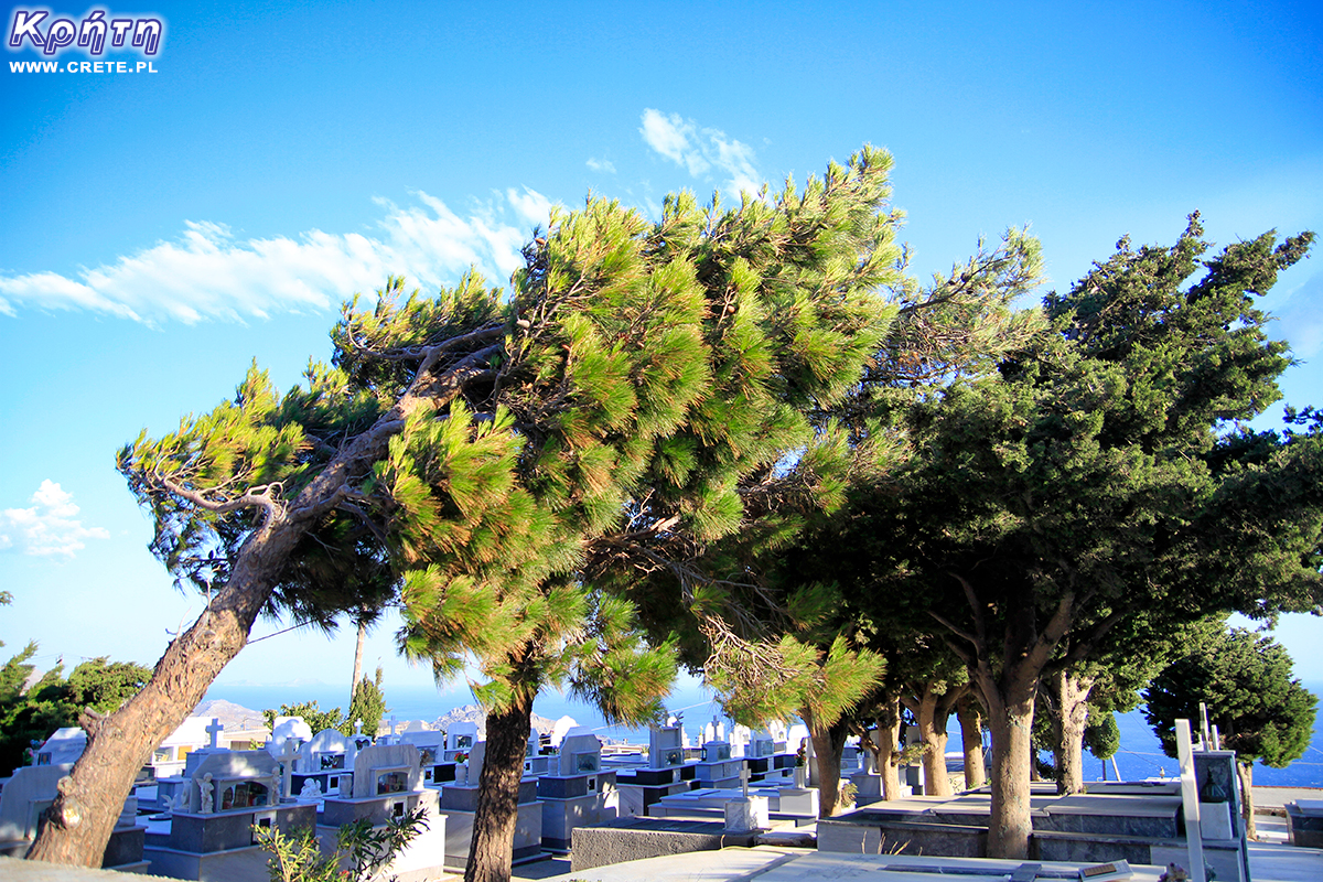 Cemetery in Selia