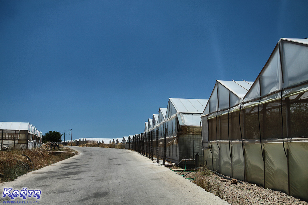 Film tunnels in front of Krios