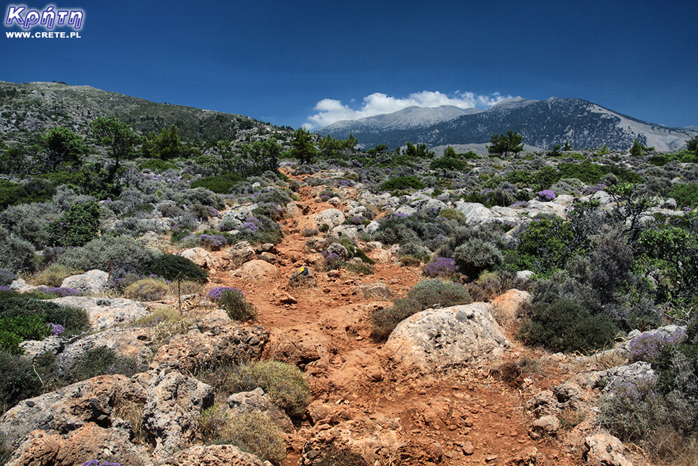 The trail between Sougia and Lissos