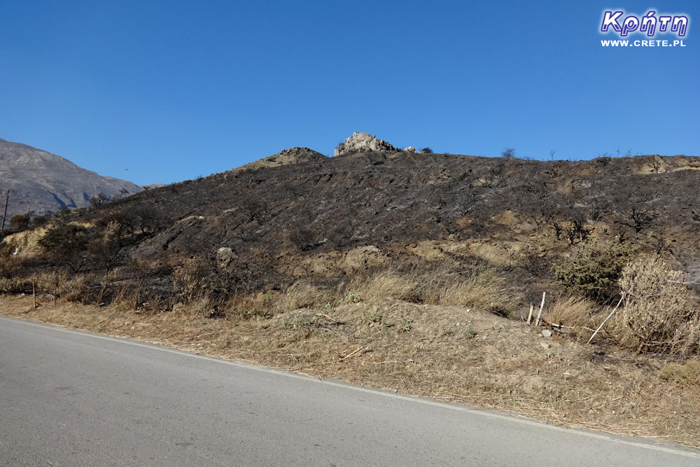 Damnoni after the fire