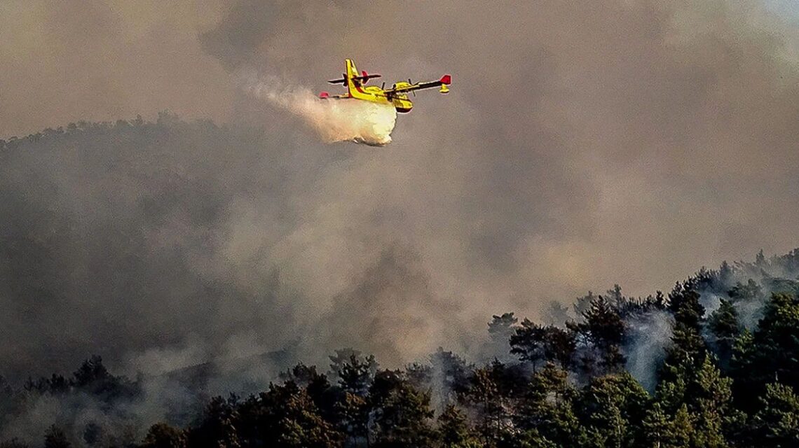 Firefighting plane crash