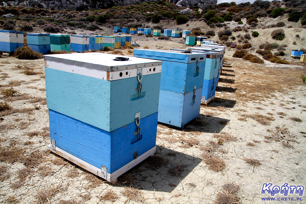 Bienenhaus auf Kreta