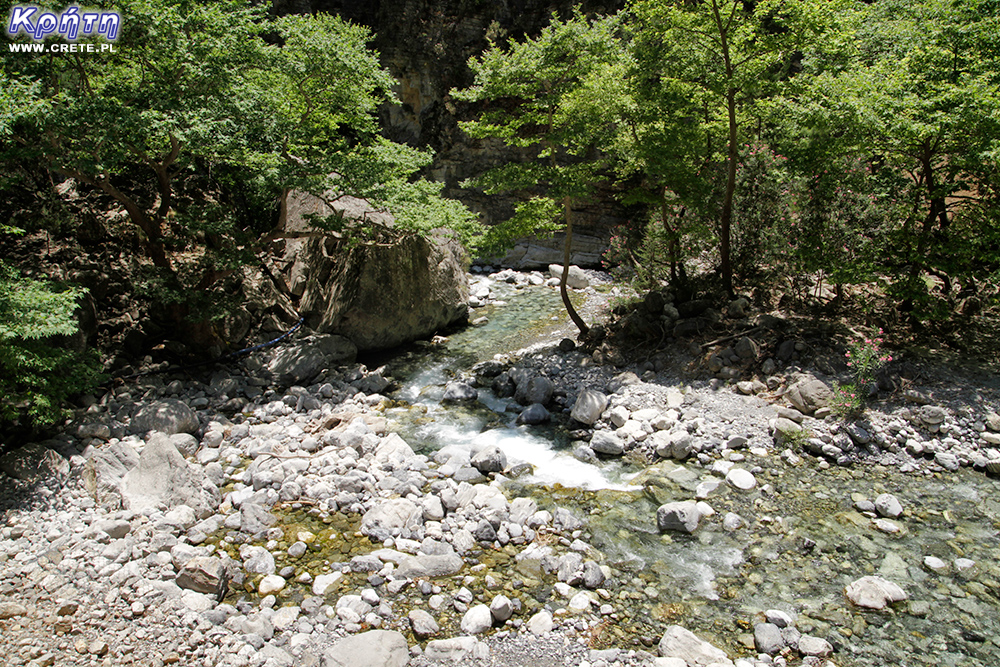 The main stream in Samaria