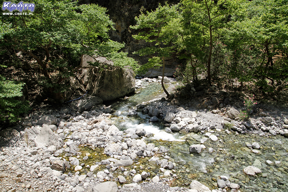 Der Hauptstrom in Samaria