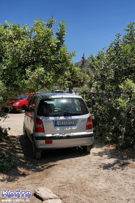 Dziki parking przy plaży Elafonisi