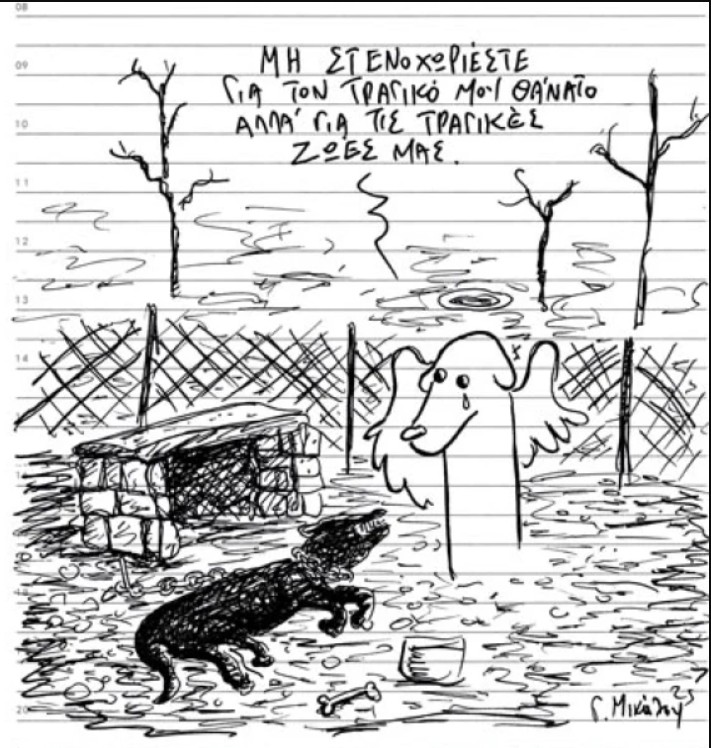 Dog on a chain - picture