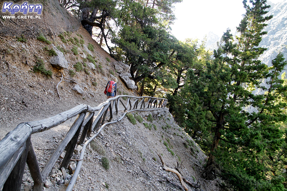 The upper part of the trail in Samaria