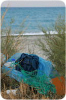 Śmieci na plaży