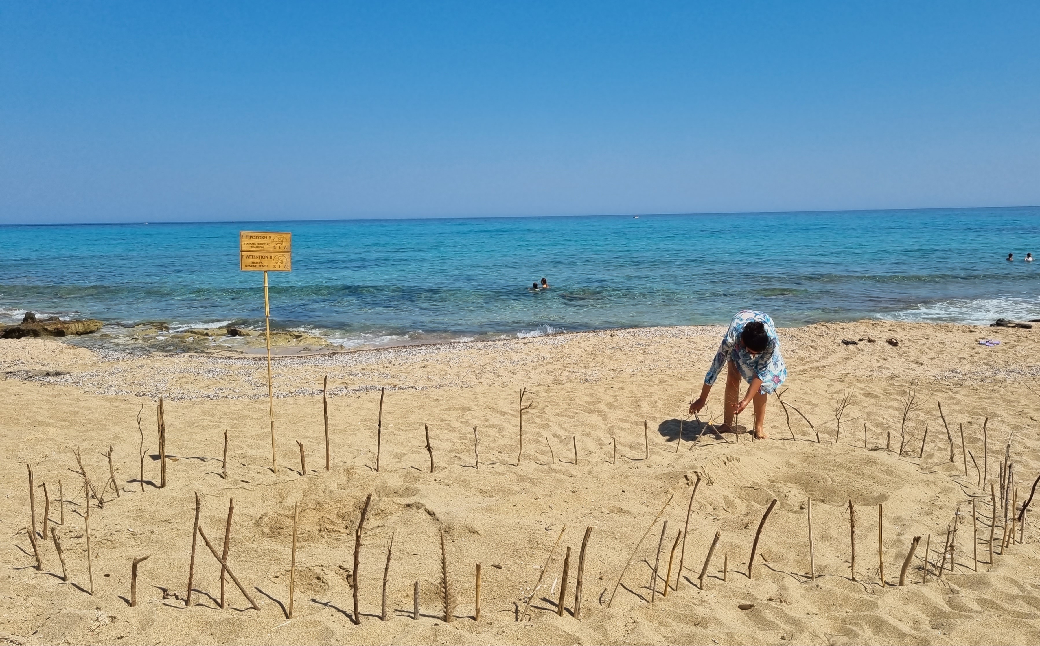 Schildkrötennest in Stavros