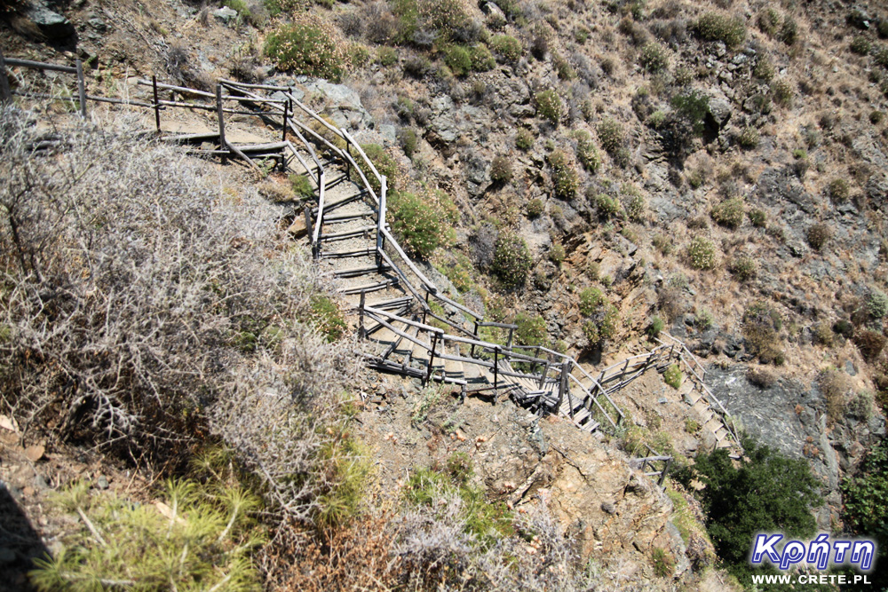 Richtis - wooden stairs