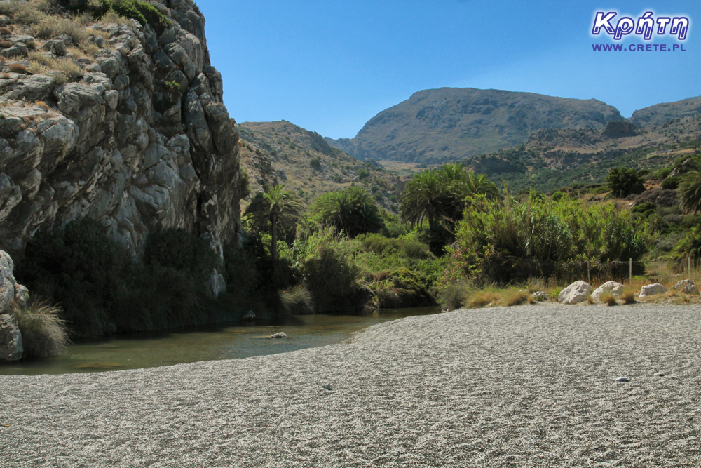 Strand in Souda - Palmenwald