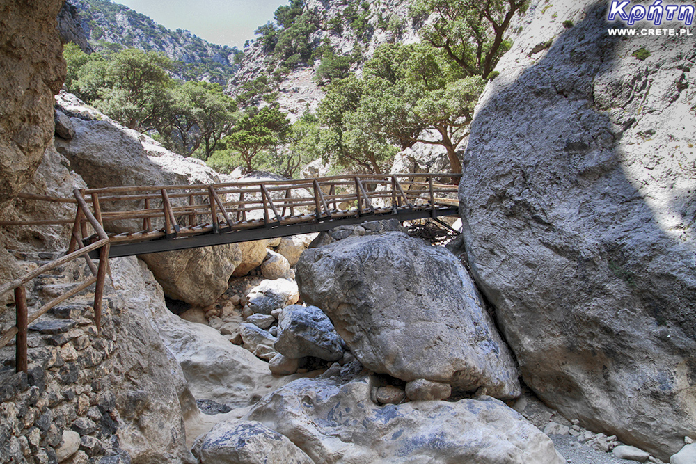 Rouvas - bridge on the trail