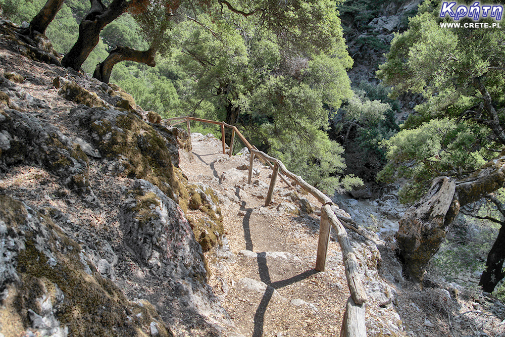 Rouvas Gorge - trail