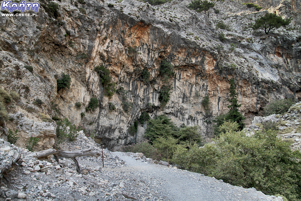 Rouvas-Schlucht - Felsenklippe