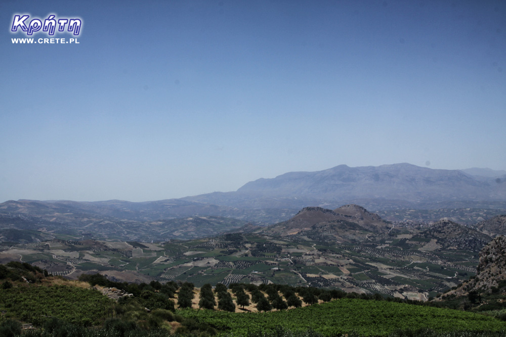 Cretan vineyards